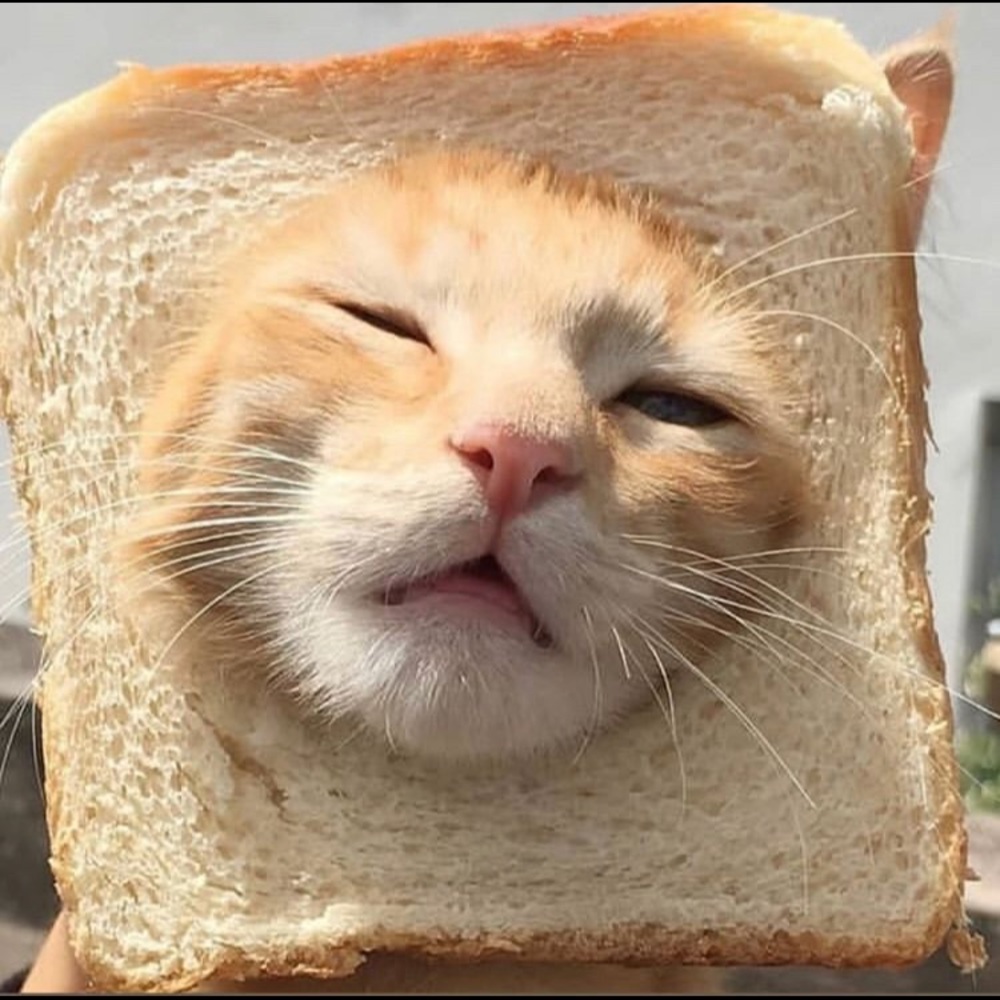 Meet your Posher, Carmine